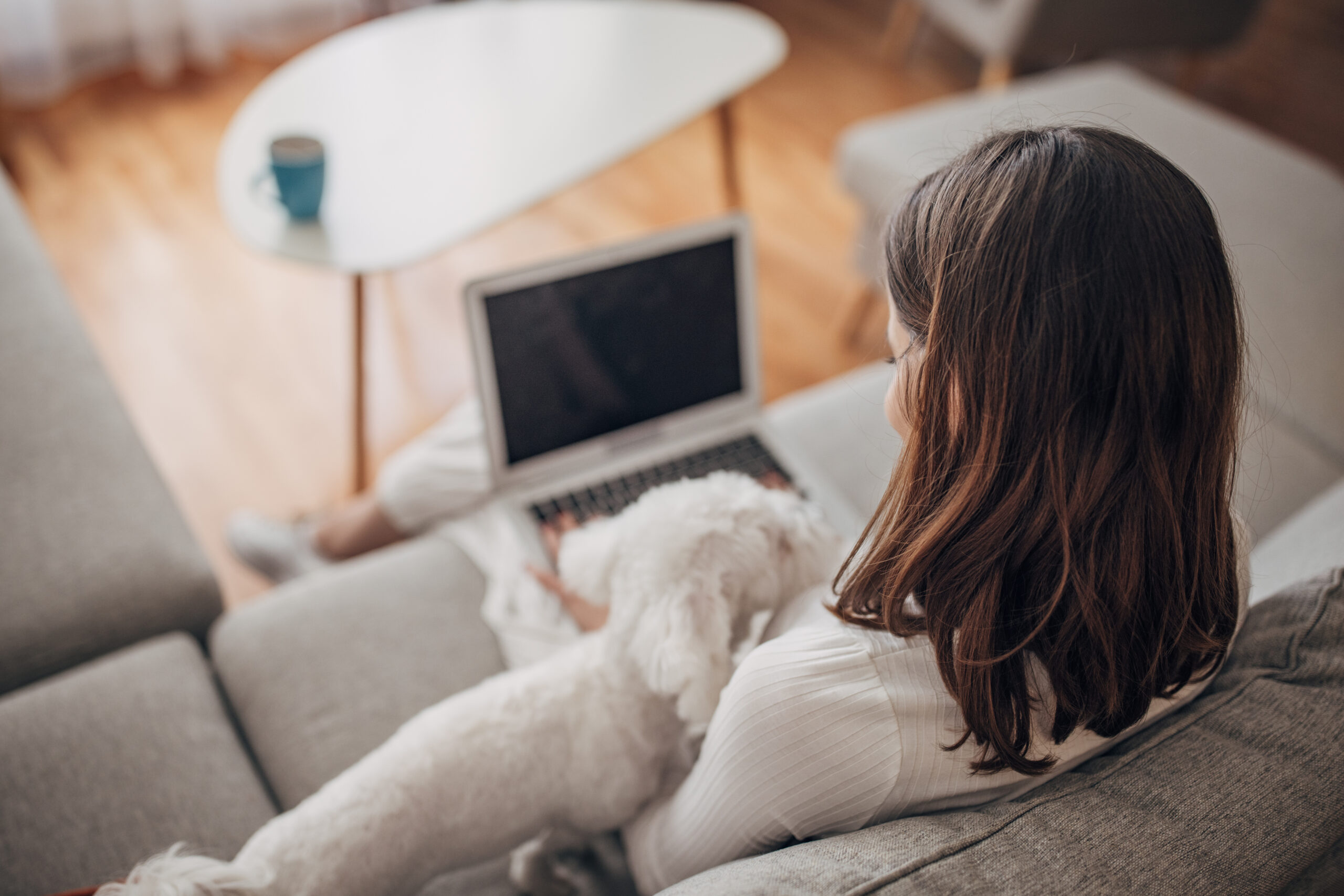 Young Student Woman Working On Lap Top